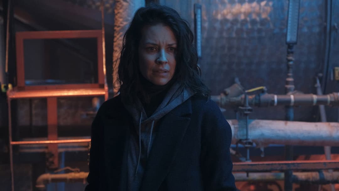 Трафiк backdrop 2