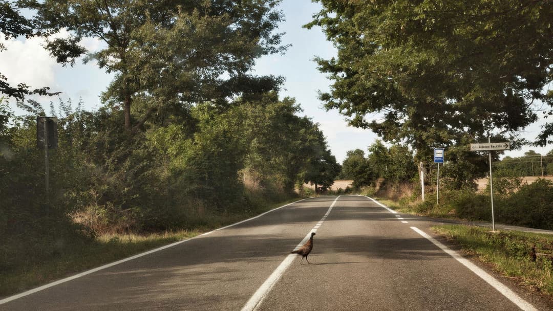 Land der Wunder backdrop 10