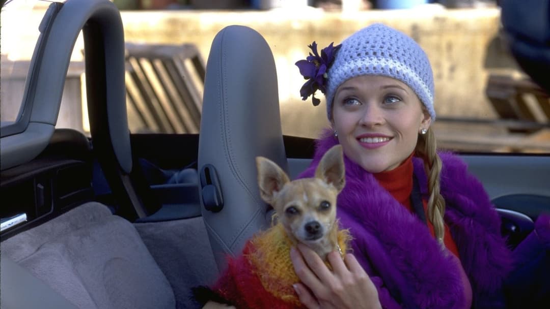 Natürlich blond backdrop 18