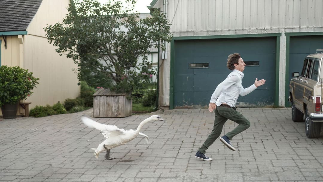 Француженка backdrop 11