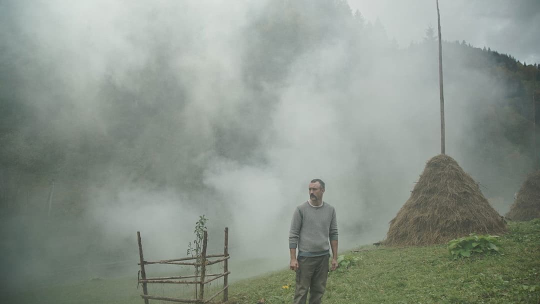 Памфір backdrop 7