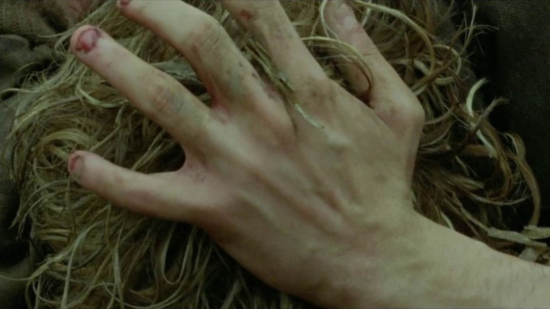 Том на фермі backdrop 19