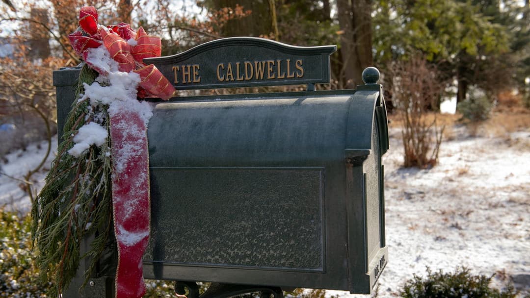 Щаслива пора backdrop 20