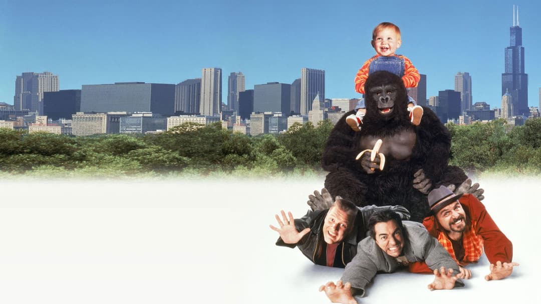 Juniors freier Tag backdrop 7