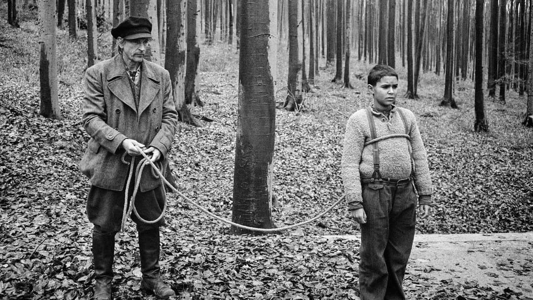 Пофарбоване пташеня backdrop 17