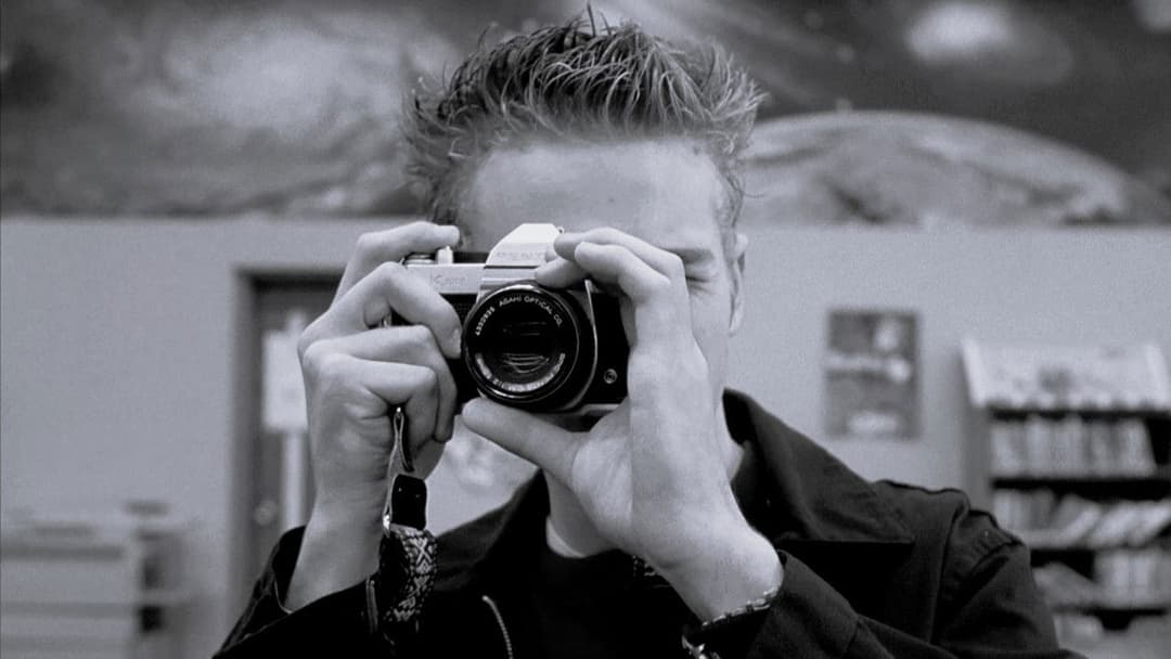 Elephant backdrop 13