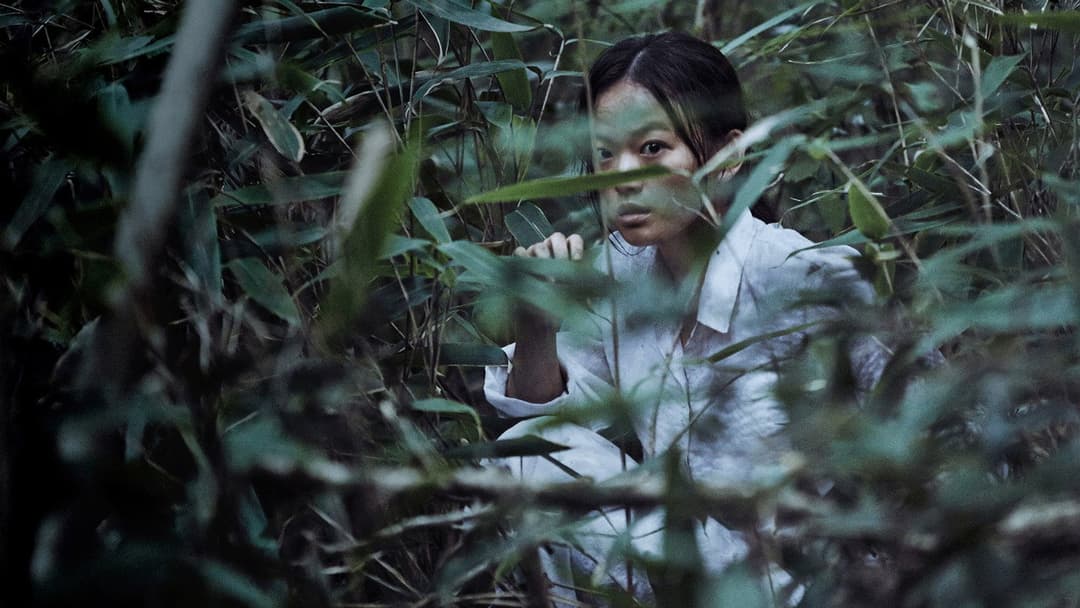 The Wailing backdrop 5