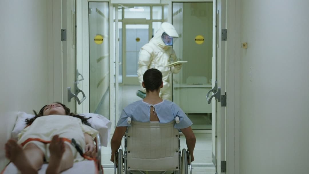 The Signal backdrop 11