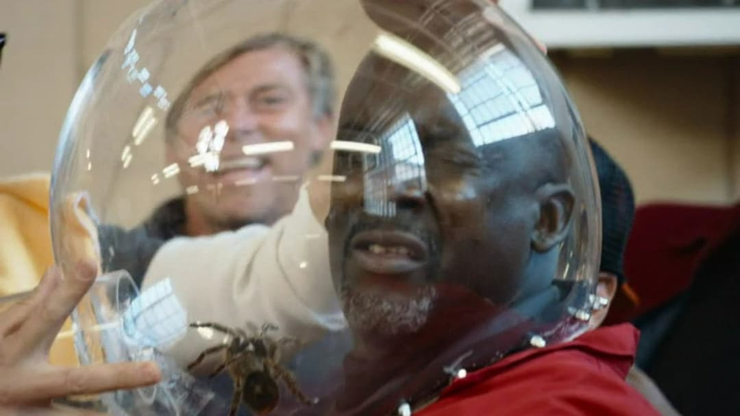 Диваки форева backdrop 14