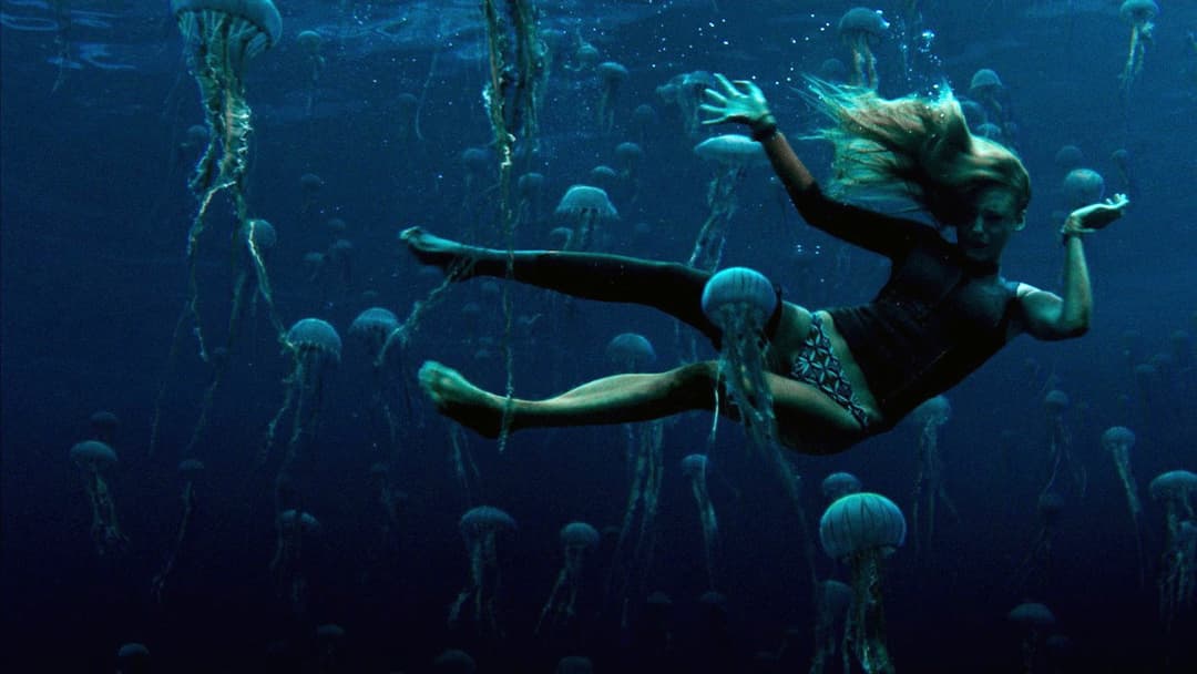 The Shallows backdrop 12