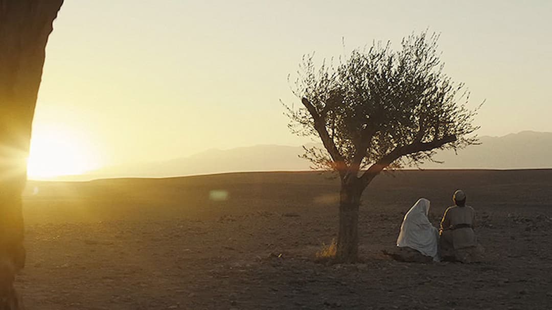 Нульовий рік нашої ери backdrop 1