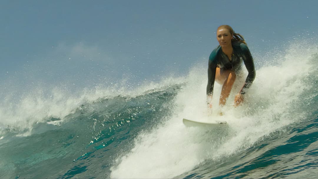 The Shallows backdrop 11