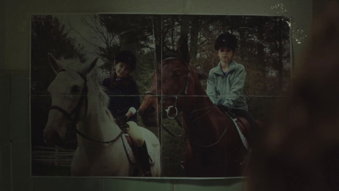 Vollblüter backdrop 4