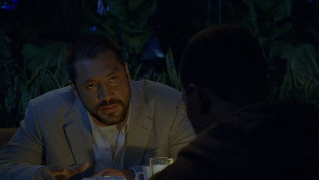 Collateral backdrop 19