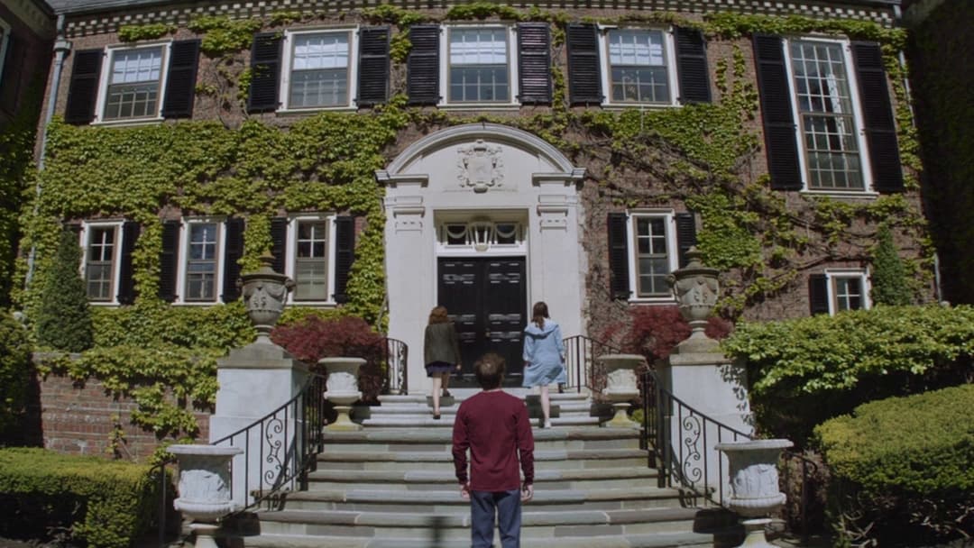 Vollblüter backdrop 3