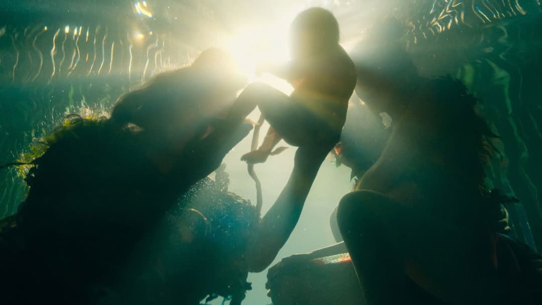 Чорна пантера: Ваканда назавжди backdrop 13