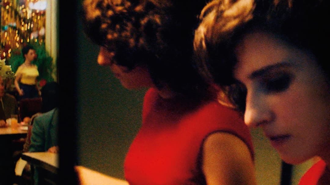 A Vida Invisível backdrop 7