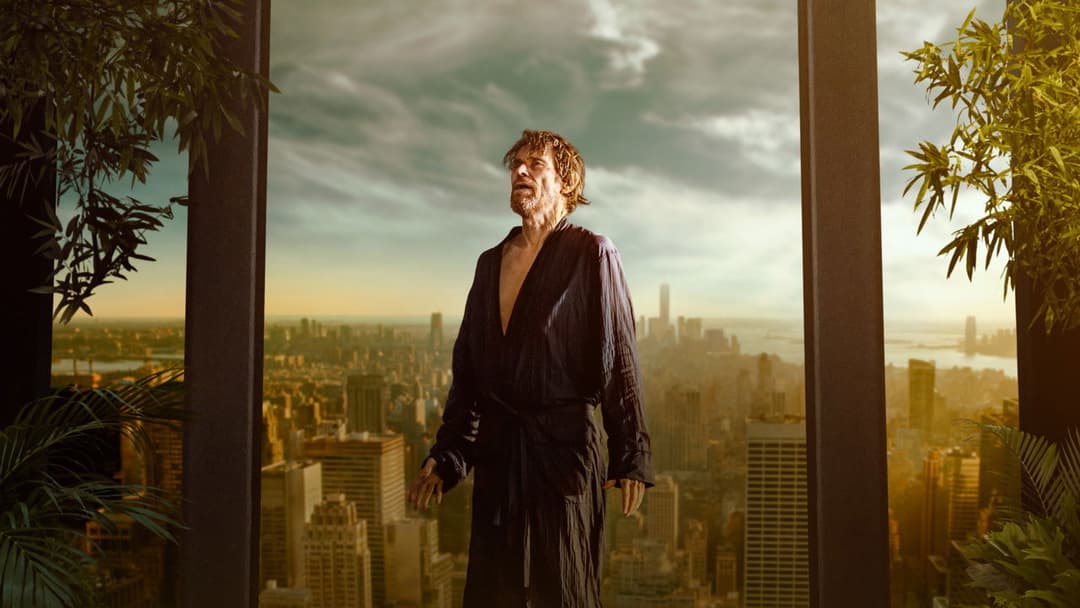 Всередині backdrop 17