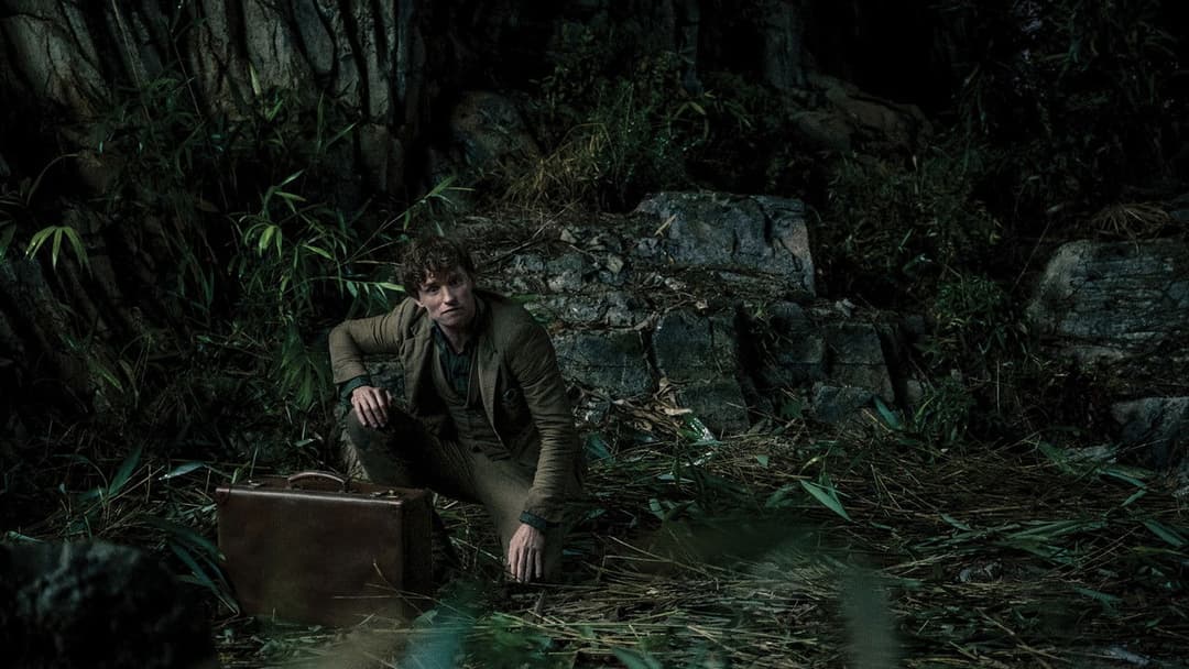 Фантастичні звірі: Таємниці Дамблдора backdrop 17