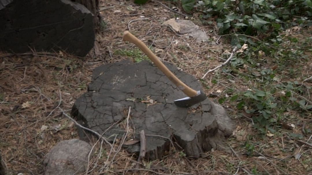 Виродок backdrop 14