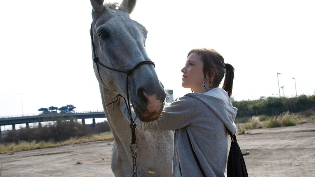 Акваріум backdrop 4