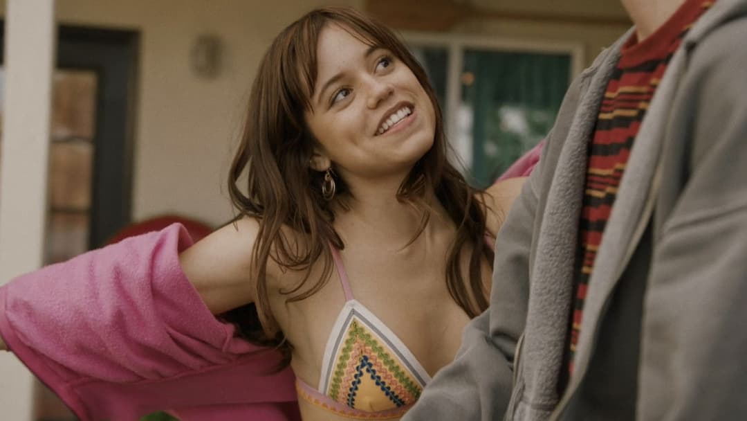 Winter Spring Summer or Fall backdrop 11