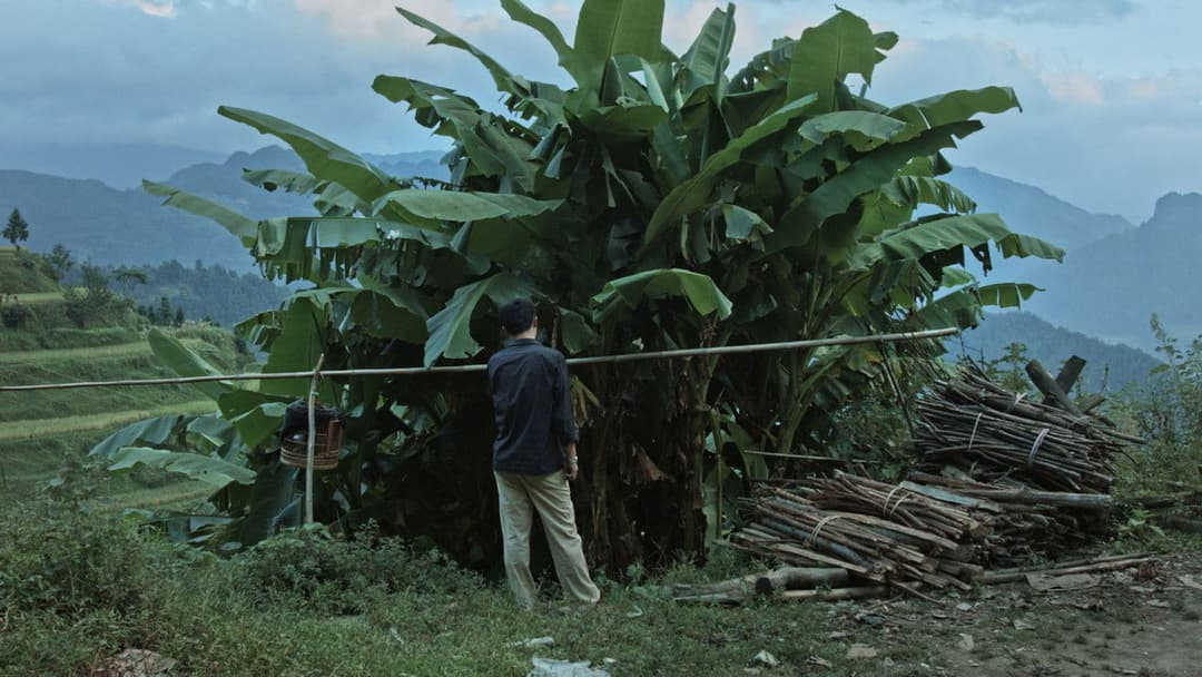 Kaili Blues backdrop 4