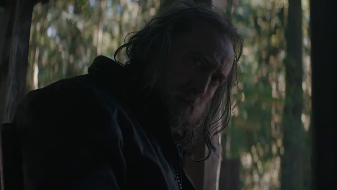 Свиня backdrop 11