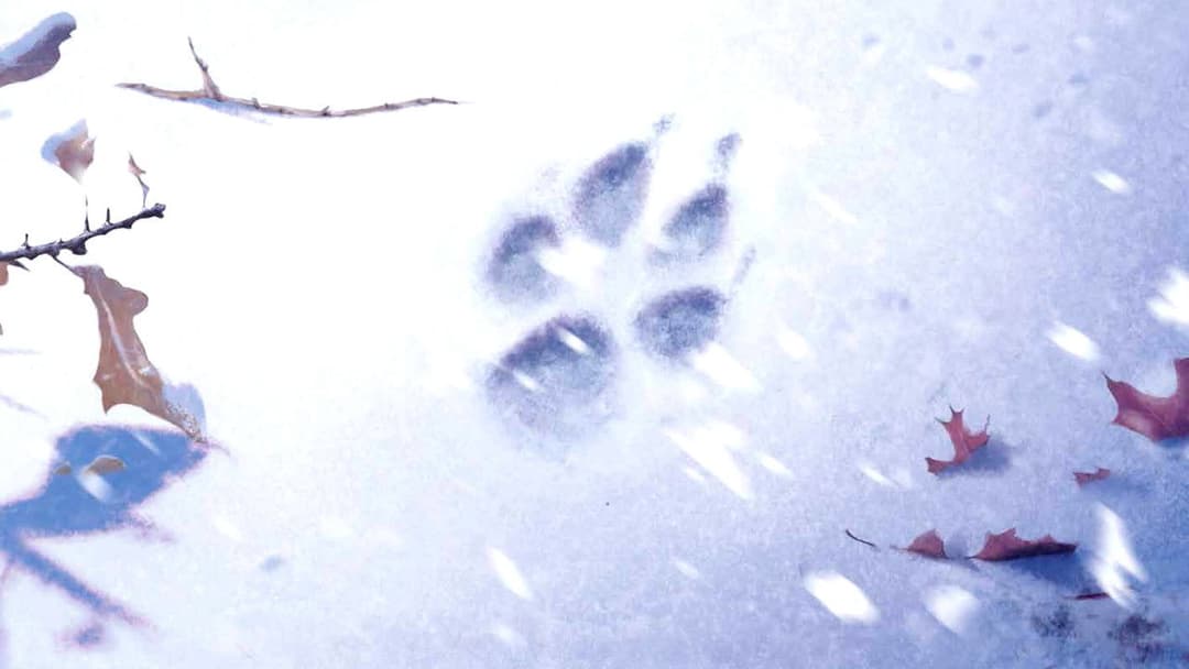 Croc-Blanc backdrop 9