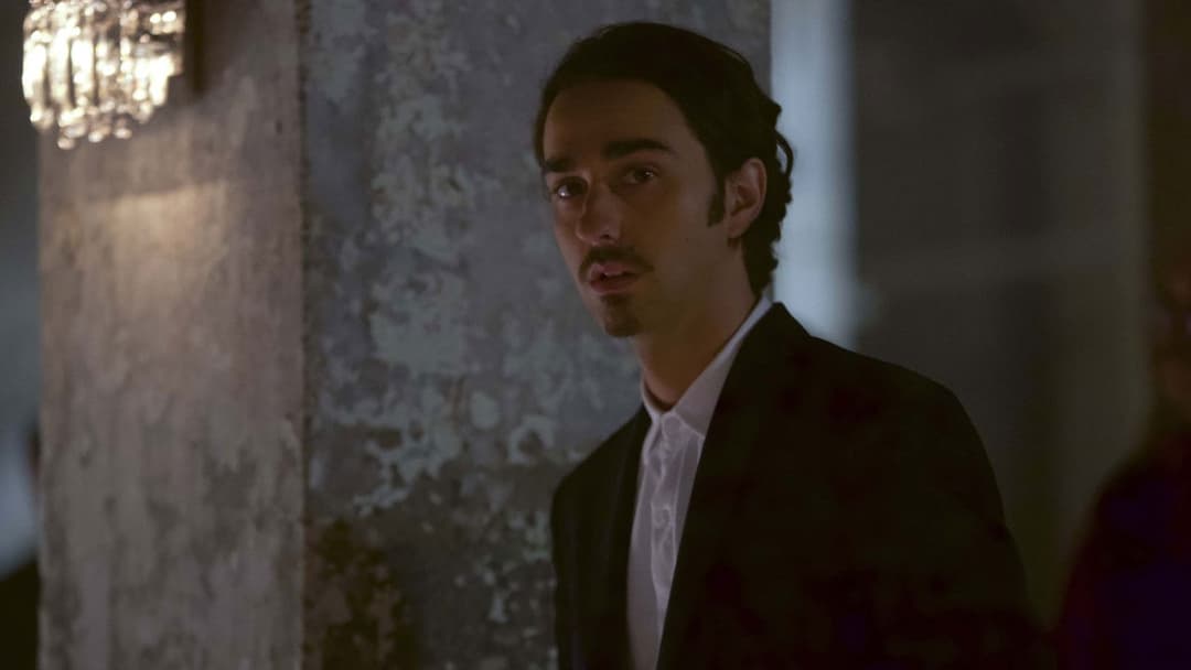 Свиня backdrop 18