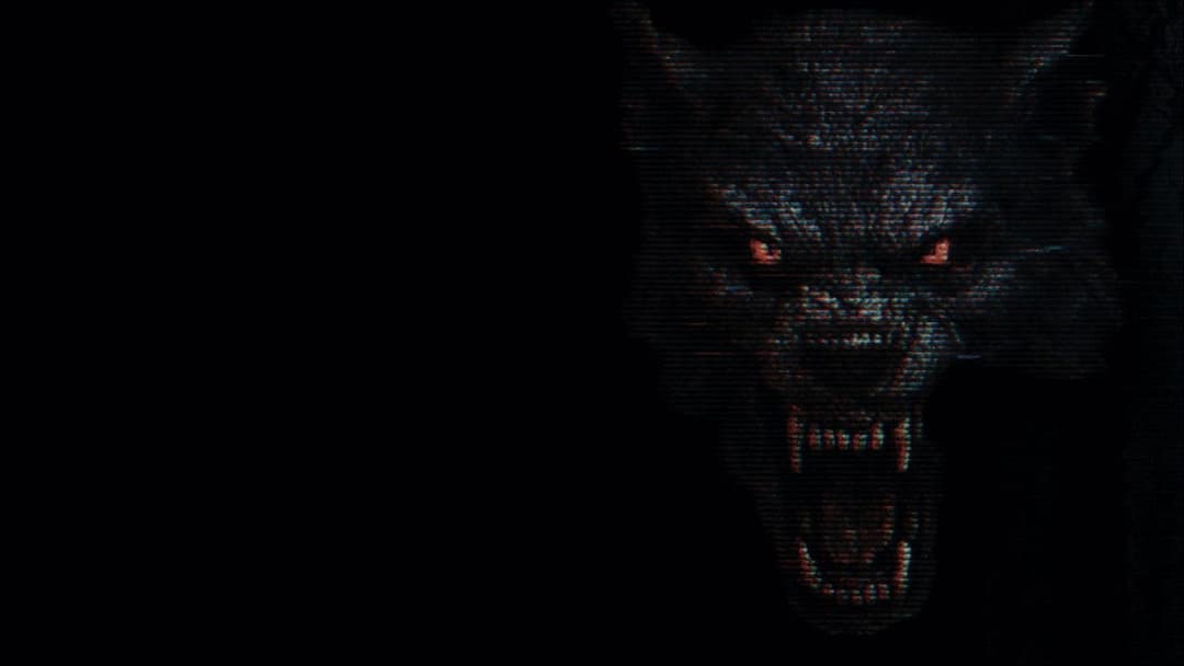 The Fairfield County Four