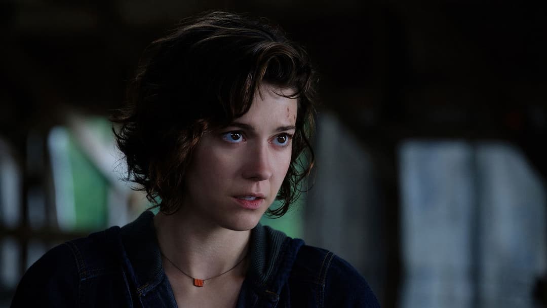 Двійник backdrop 7