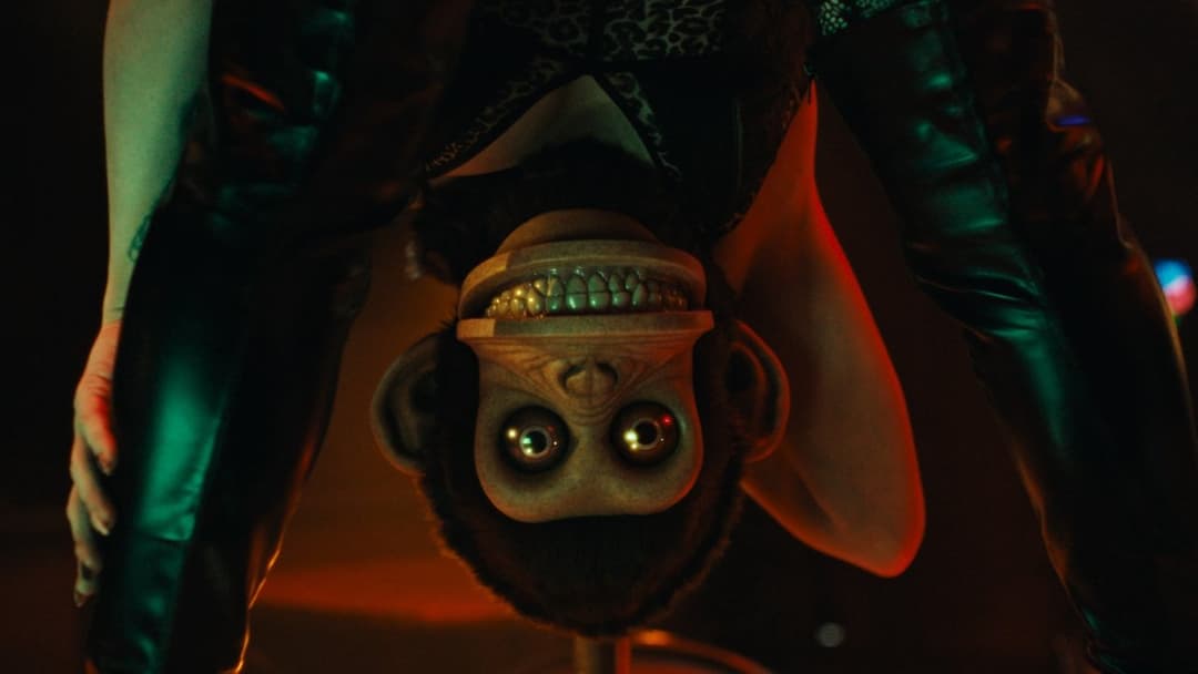 Мавпа backdrop 12