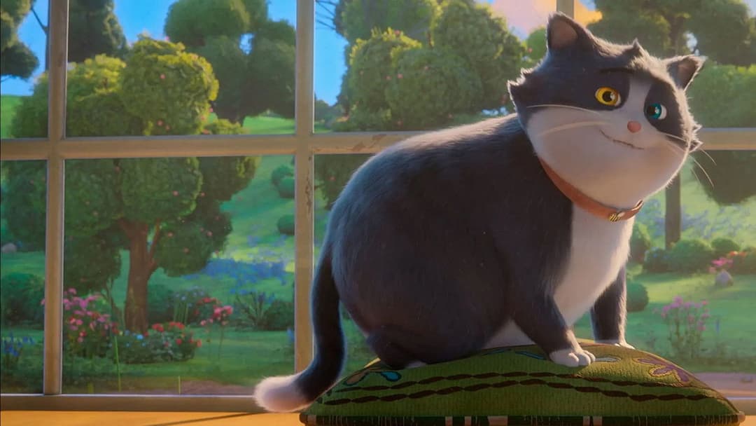 Alles für die Katz backdrop 8