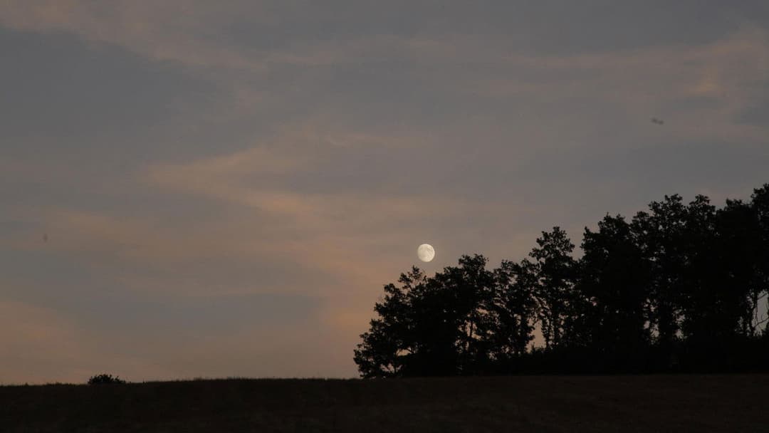 Land der Wunder backdrop 5