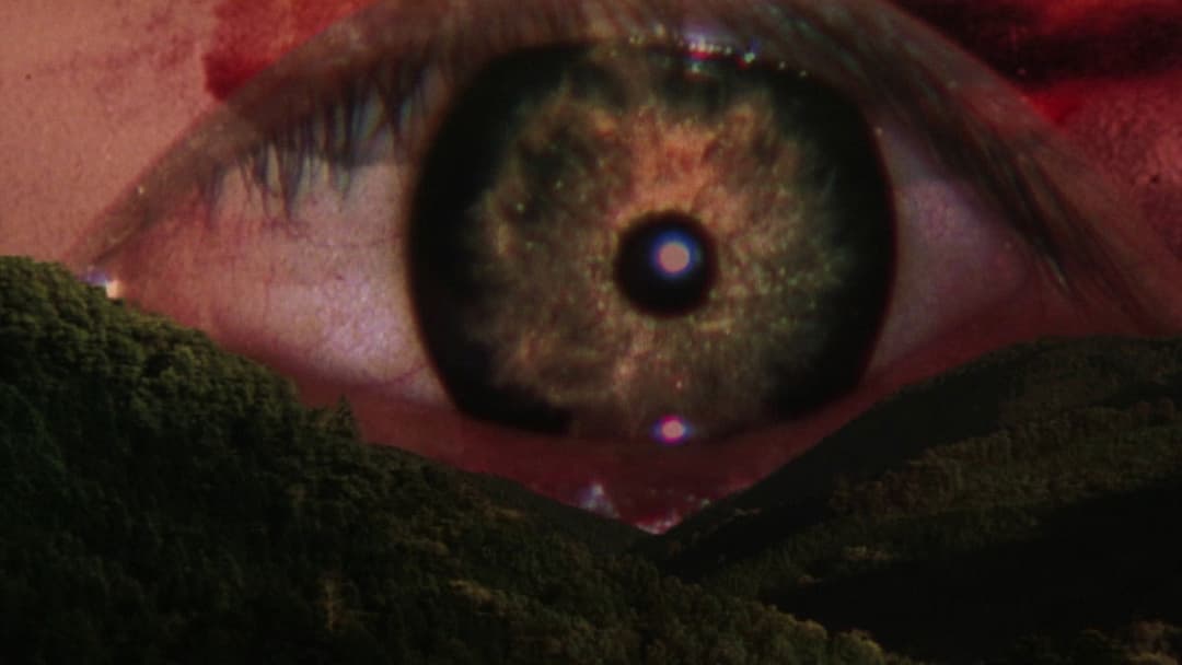 Серпнева рапсодія backdrop 1