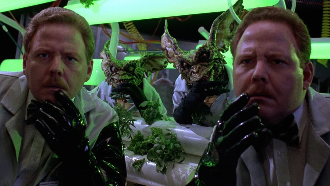 Gremlins 2 - Die Rückkehr der kleinen Monster backdrop 4