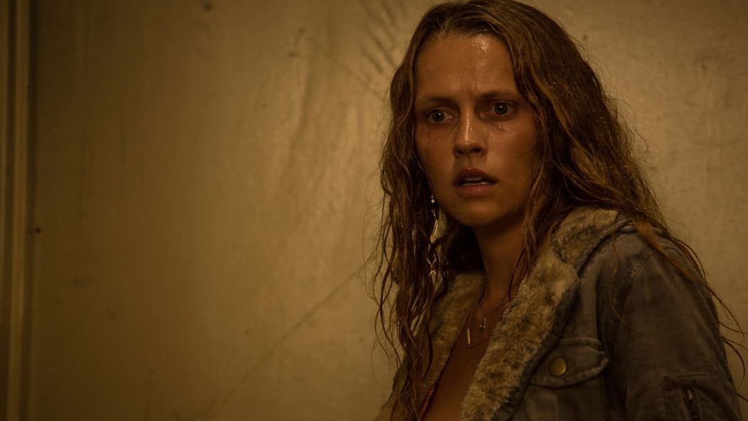 Message from the King backdrop 5