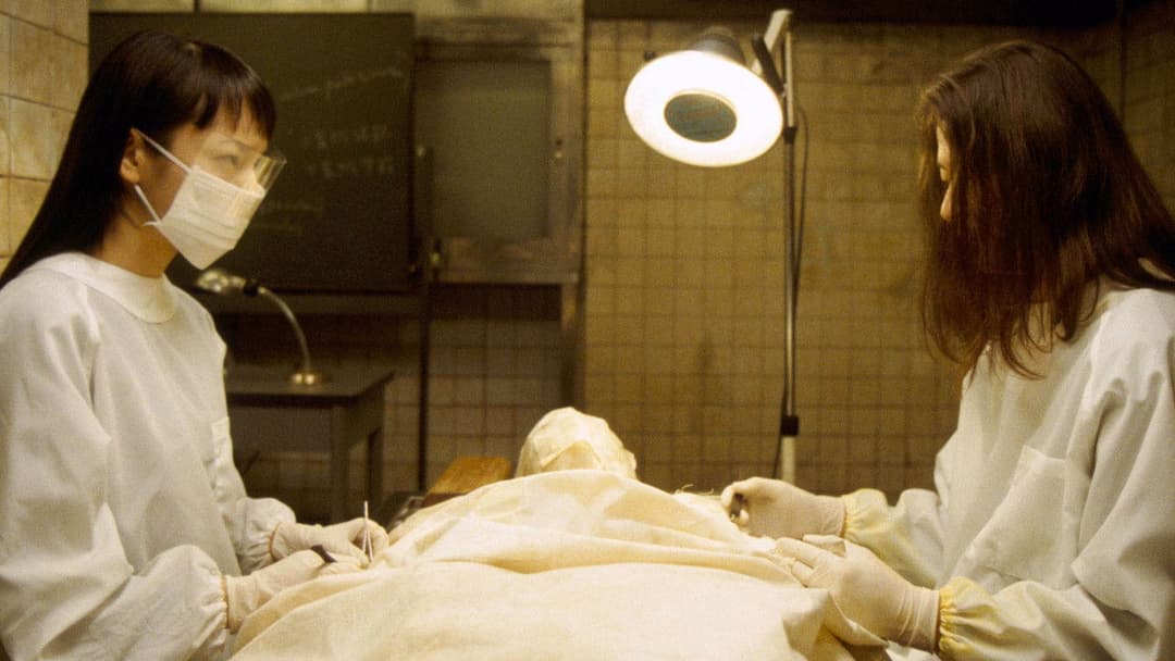 ヴィタール backdrop 6