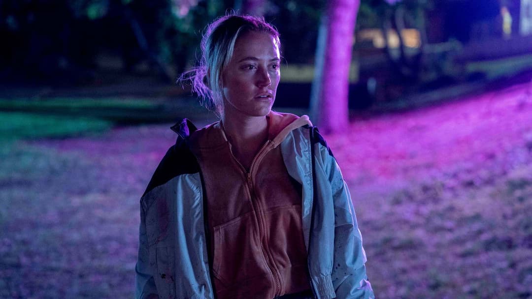 In Cold Light backdrop 5