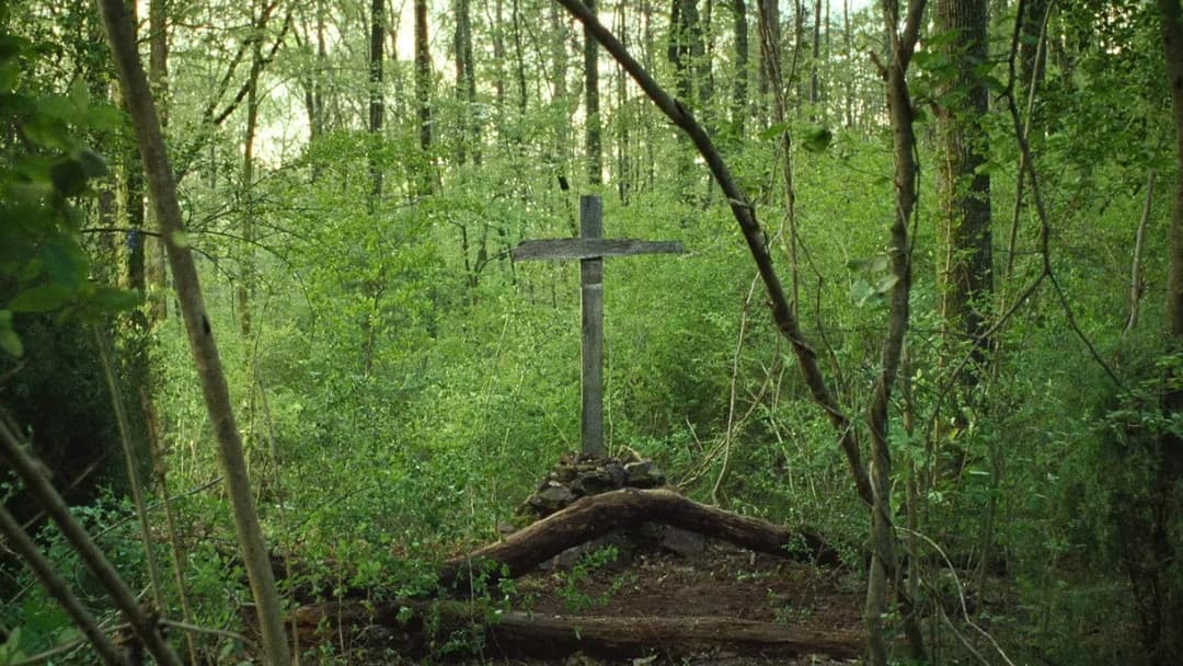 The Devil All the Time backdrop 16