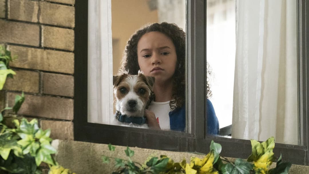 Мій шпигун backdrop 14