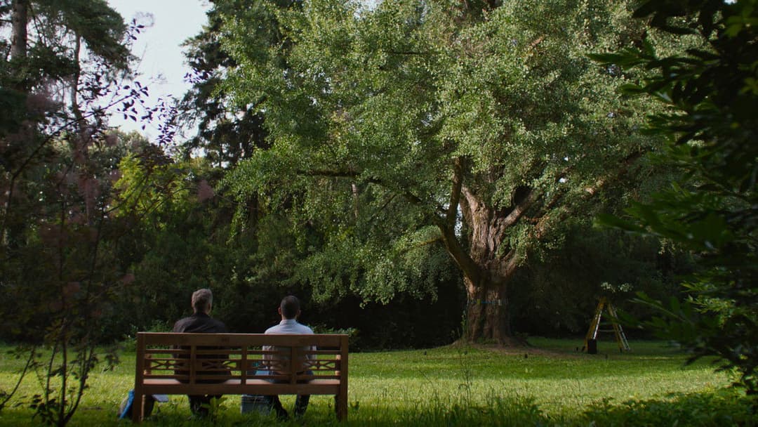 Silent Friend backdrop 4