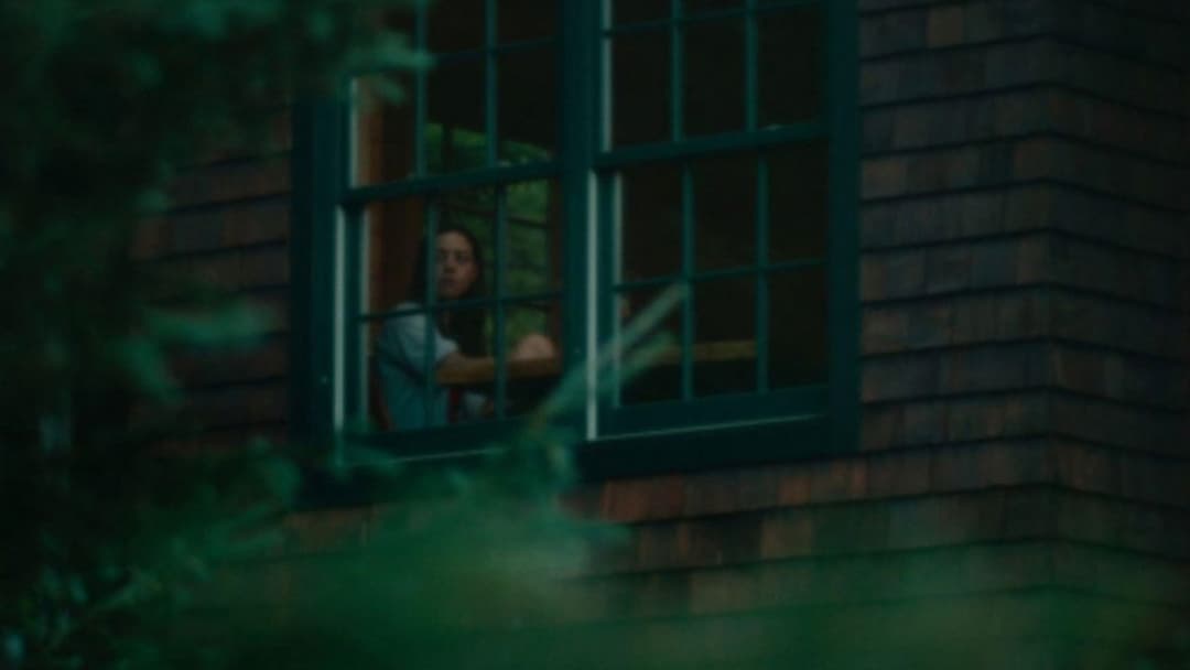 Чорний ведмідь backdrop 10