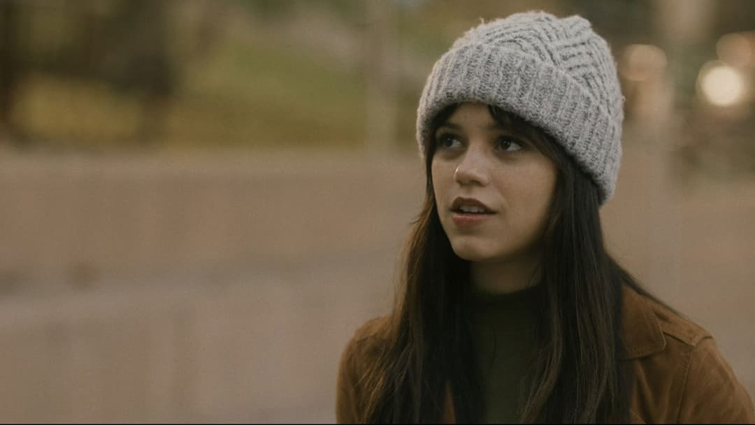 Winter Spring Summer or Fall backdrop 10