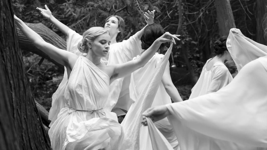 Silent Friend backdrop 5