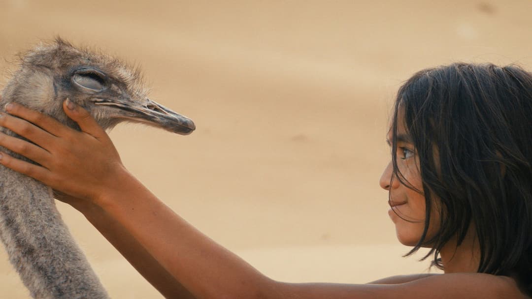 The Desert Child backdrop 13