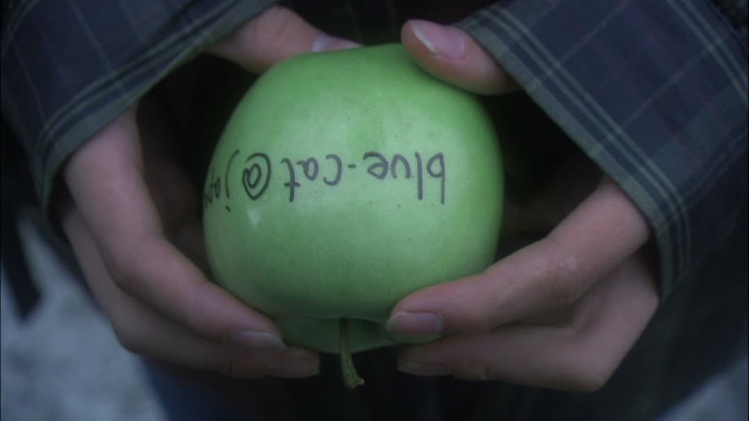 リリイ・シュシュのすべて backdrop 15