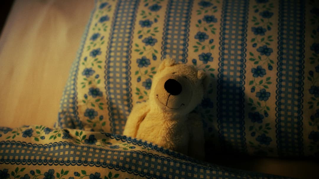 Mr. Gisbert backdrop 1