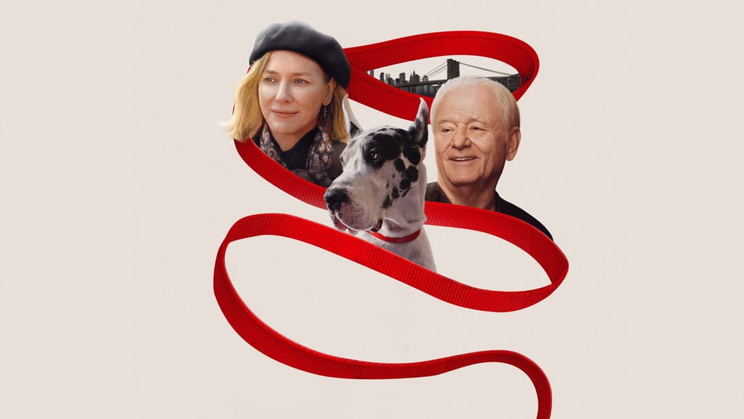 Loyal Friend backdrop 11